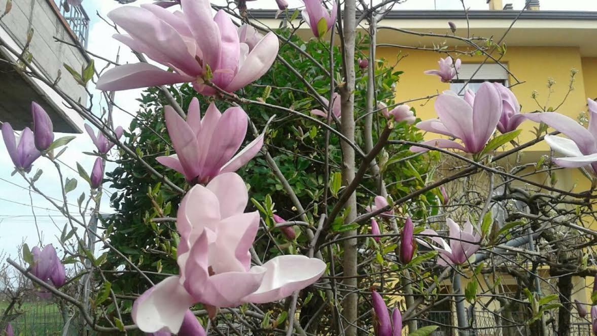 Lo Spazio Magico Bed & Breakfast San Martino (Rimini)