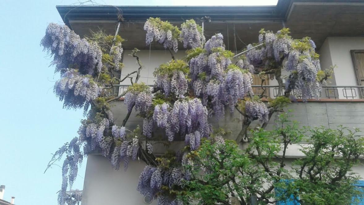 Lo Spazio Magico